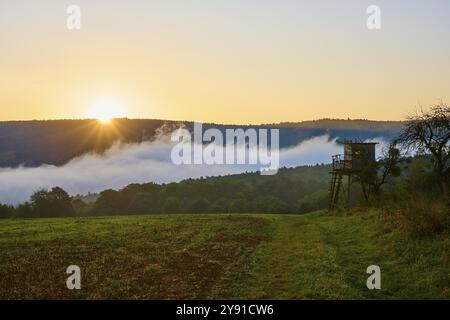 Un lever de soleil sur un champ avec une peau surélevée, entouré d'arbres et de brouillard dans un paysage matinal tranquille, Grossheubach, Miltenberg, Spessart, Bavière, Germ Banque D'Images