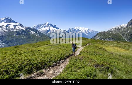 Alpiniste sur le sentier de randonnée en face du panorama de montagne avec des sommets glaciaires, aiguille verte avec aiguille du midi et Mont Blanc, randonnée Banque D'Images