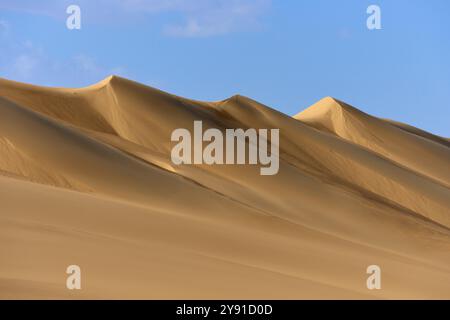 Dunes de sable sous un ciel bleu, véhiculant un paysage désertique calme et vaste, Matruh, Grande mer de sable, désert libyen, Sahara, Egypte, Afrique du Nord, Afrique Banque D'Images