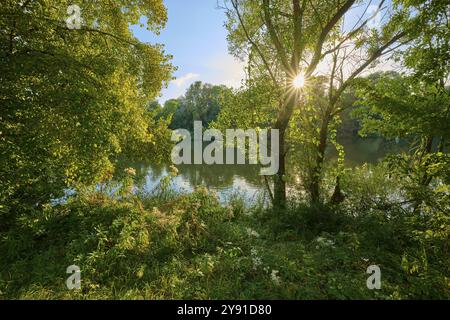 Les rayons de soleil traversent la dense canopée de feuilles et illuminent une rivière calme dans un paysage verdoyant, automne, Grossheubach, Miltenberg, main, Spessart, Banque D'Images