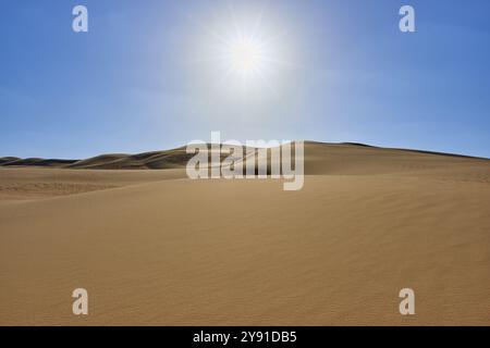 Paysage désertique ensoleillé avec des dunes de sable sous un ciel bleu clair, Matruh, Grande mer de sable, désert libyen, Sahara, Egypte, Afrique du Nord, Afrique Banque D'Images