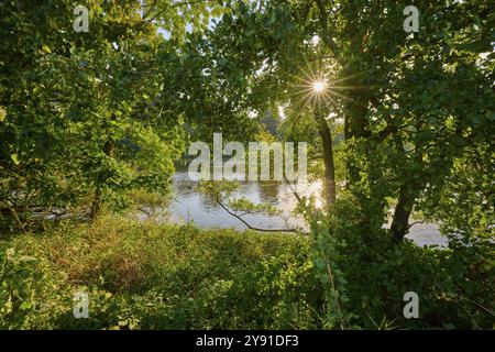 Les rayons de soleil traversent la dense canopée de feuilles et illuminent une rivière calme dans un paysage verdoyant, automne, Grossheubach, Miltenberg, main, Spessart, Banque D'Images