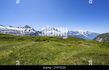 Panorama de montagne avec sommets glaciaires, aiguille de Chardonnet avec Glacier du Tour, aiguille verte avec aiguille du midi et Mont Blanc, hik Banque D'Images