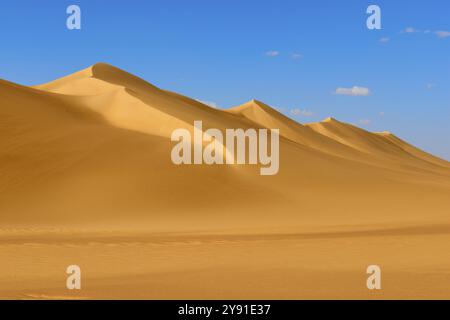 Dunes de sable sans fin sous un ciel bleu clair avec peu de nuages, Matruh, Grande mer de sable, désert libyen, Sahara, Egypte, Afrique du Nord, Afrique Banque D'Images