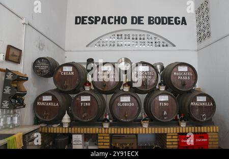 Intérieur avec des tonneaux de vin alignés dans une bodega, Chipiona, province de Cadix, Cadix, Andalousie, Espagne, Europe Banque D'Images