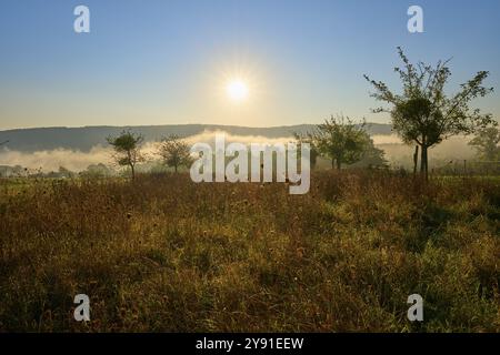 Matinée ensoleillée au-dessus d'une prairie avec arbres et brouillard, ambiance calme et paisible, automne, Grossheubach, Miltenberg, Spessart, Bavière, Allemagne, Europe Banque D'Images