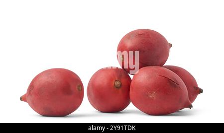 pile de fruits de palmier queue de renard fond blanc isolé, de grands fruits de couleur rouge vif de forme ovale populaires dans la région tropicale et subtropicale Banque D'Images