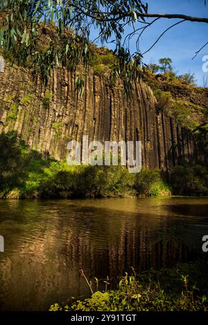 Colonnes de basalte volcaniques ressemblant à des « Organ Pipes » avec des reflets dans Jacksons Creek au parc national Organ Pipes, Melbourne, Vicctoria, Australie Banque D'Images