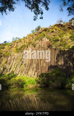 Colonnes de basalte volcaniques ressemblant à des « Organ Pipes » avec des reflets dans Jacksons Creek au parc national Organ Pipes, Melbourne, Vicctoria, Australie Banque D'Images