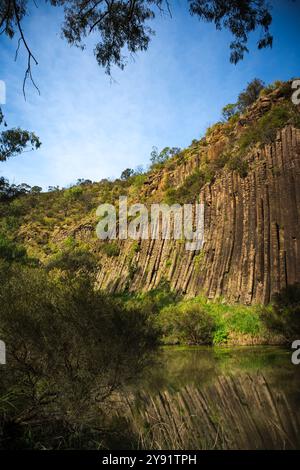 Colonnes de basalte volcaniques ressemblant à des « Organ Pipes » avec des reflets dans Jacksons Creek au parc national Organ Pipes, Melbourne, Vicctoria, Australie Banque D'Images