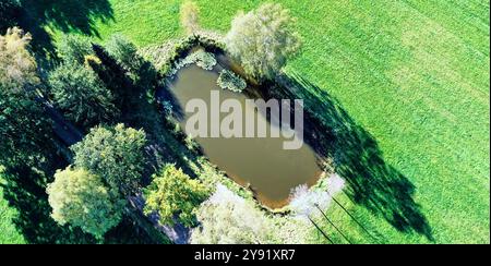 Drone capturant un petit lac entouré d'arbres et un chemin par une journée ensoleillée en allemagne. L'herbe verte luxuriante contraste avec l'eau sombre du lac Banque D'Images