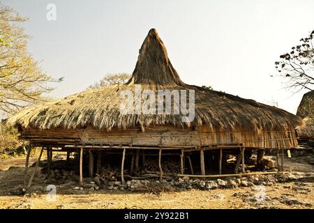 Maison traditionnelle sumbanaise dans le village traditionnel de Prailiang, qui est construit sur une colline rocheuse à Kanatang, Sumba est, Nusa Tenggara est, Indonésie. Banque D'Images