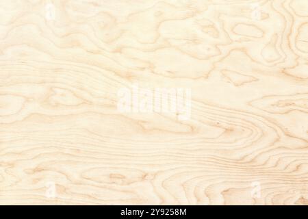Texture de bois léger comme arrière-plan. planches en bois avec espace vide Banque D'Images