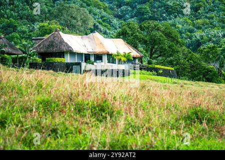 Vue sur le Lodge situé au bord de la jungle surplombant la forêt de la Vallée de Ferney et réserve faunique à Maurice Banque D'Images