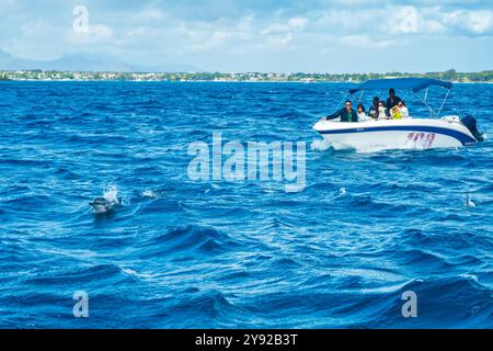 Vue d'un bateau avec des touristes poursuivant un groupe de dauphins lors d'une excursion d'observation des dauphins au large de la côte du nord de l'île Maurice Banque D'Images