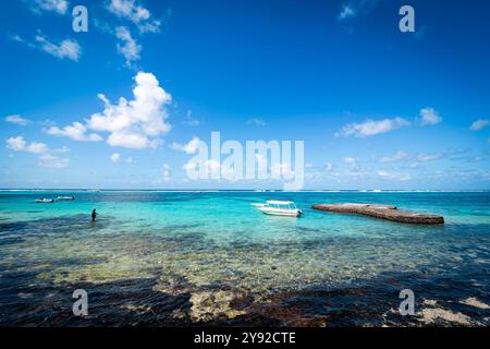 Belle vue de carte postale d'une plage tropicale à Blue Bay, Maurice, avec des récifs coralliens visibles dans les eaux turquoises cristallines Banque D'Images