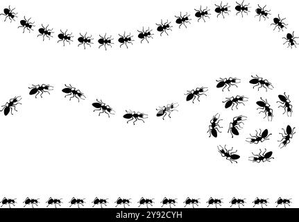 Routes des fourmis noires. Sentiers et chemins fourmis, vue de dessus. Insectes marchant les uns après les autres, travaillant ensemble. Routes de ligne et de courbe, scène vectorielle néotérique Illustration de Vecteur