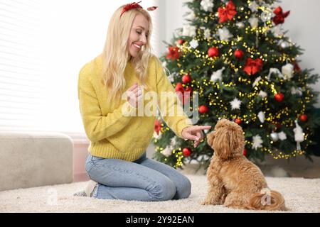 Femme avec chien mignon Maltipoo sur tapis dans la chambre décorée pour Noël Banque D'Images