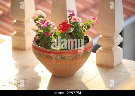 Pot en argile avec des fleurs colorées sur un balcon ensoleillé, parfait pour le jardin et les thèmes de décoration extérieure Banque D'Images