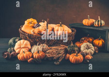 Nature morte avec assortiment de citrouilles, châtaignes et feuilles d'automne pour Thanksgiving et Halloween Banque D'Images