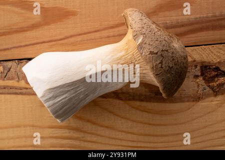 Champignon d'huître King parfumé frais sur une table en bois, macro, vue de dessus. Banque D'Images