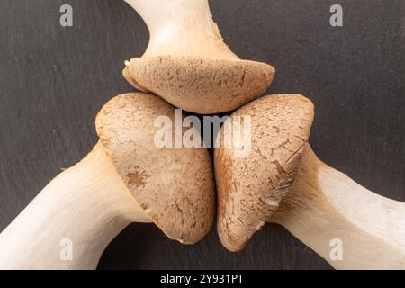 Champignon d'huîtres King parfumé frais sur pierre d'ardoise, macro, vue de dessus. Banque D'Images