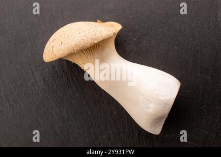 Champignon d'huîtres King parfumé frais sur pierre d'ardoise, macro, vue de dessus. Banque D'Images