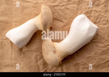 Champignon d'huîtres King parfumé frais sur papier kraft, macro, vue de dessus. Banque D'Images