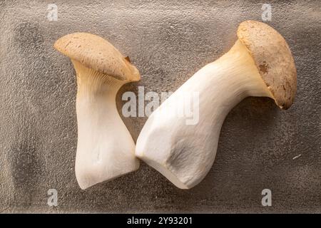 Champignon d'huître King parfumé frais sur un plateau en métal, macro, vue de dessus. Banque D'Images