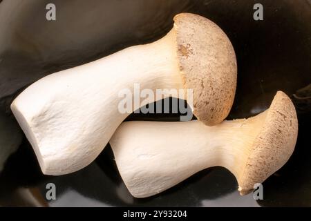 Champignon d'huître King parfumé frais sur une plaque en céramique noire, macro, vue de dessus. Banque D'Images