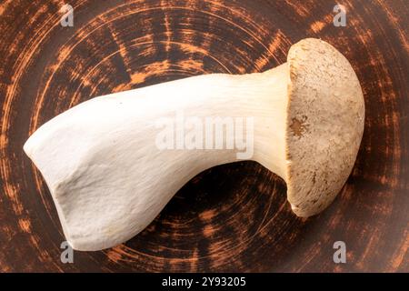 Champignon d'huître King parfumé frais sur une plaque d'argile, macro, vue de dessus. Banque D'Images