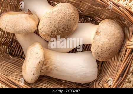 Champignon d'huîtres King parfumé frais dans un panier, macro, vue de dessus. Banque D'Images