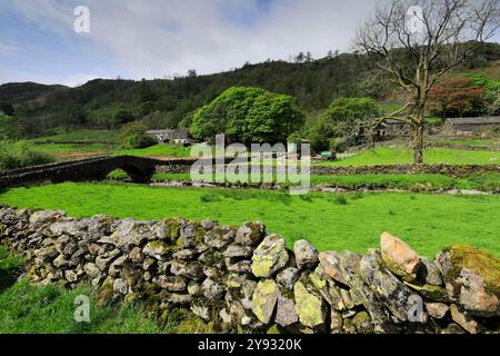 Vue estivale sur le village de Sadgill, la vallée de Sadgill, Longsleddale, Lake District National Park ; Cumbria ; Angleterre Banque D'Images