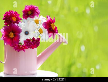 arrosoir rose rempli de fleurs roses et blanches vives, placé sur un fond vert doux et flou. frais et dynamique, créant un joyeux, su Banque D'Images