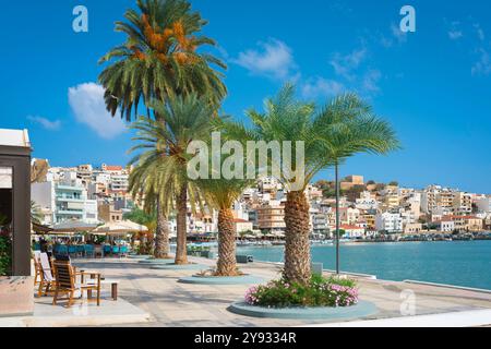 Sitia Crète, vue en été sur la promenade du port dans la baie de Sitia, Lasithi, Grèce Banque D'Images