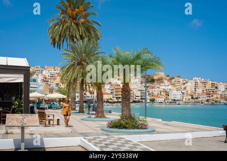 Sitia Crète, vue en été sur la promenade du port dans la baie de Sitia, Lasithi, Grèce Banque D'Images