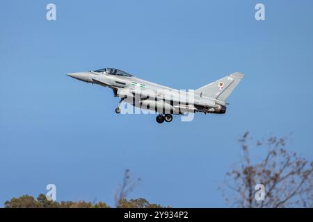 1 sur 6 Eurofighter EF-2000 Typhoon FGR4 (REG : ZK376) de la Royal Air Force atterrissant sur un arrêt technique. Banque D'Images