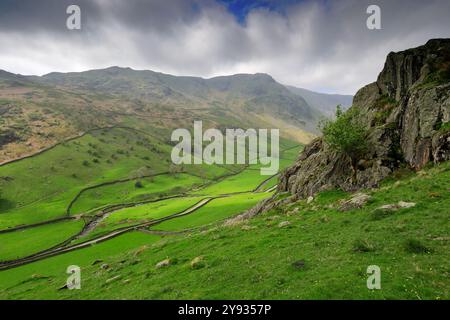 Vue estivale le long de la vallée de Sadgill, village de Sadgill, Longsleddale, Lake District National Park ; Cumbria ; Angleterre Banque D'Images