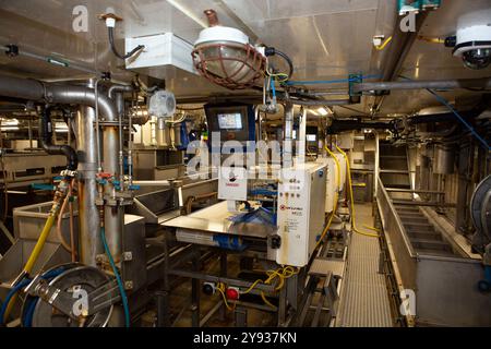L'usine où les poissons sont transformés à bord du Kirkella. Le Kirkella est un chalutier congélateur britannique de morue et d'églefin basé à Kingston upon Hull Banque D'Images