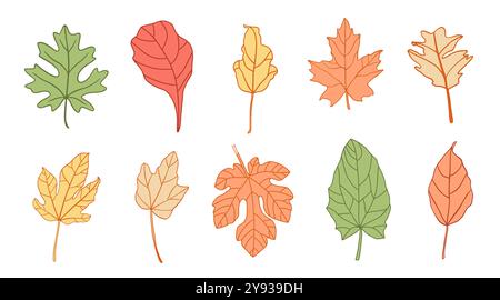 Feuilles d'automne dessin vectoriel ensemble de croquis feuille d'automne Illustration de Vecteur