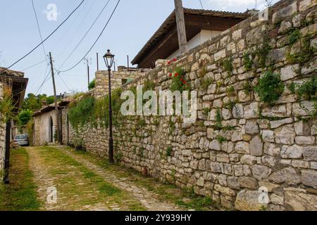 Une ruelle pavée herbeuse dans le quartier résidentiel historique du quartier du château, Kalaja, de Berat dans le sud de l'Albanie. Murs en pierre traditionnels w Banque D'Images