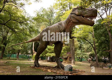 Tyrannosaurus (la fin du Crétacé) à Rostov-sur-Don Banque D'Images