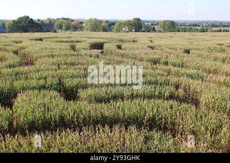 World's Largest Corn Maze at Richardson Adventure Farm in Spring Grove, Illinois Stock Photo