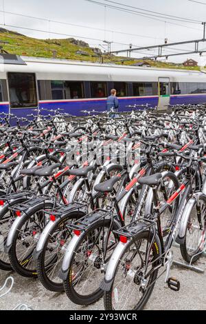 Vues de vélos de location sur la ligne ferroviaire de Bergen de Myrdal à la ville de Flam, Norvège, Scandinavie, Europe Banque D'Images