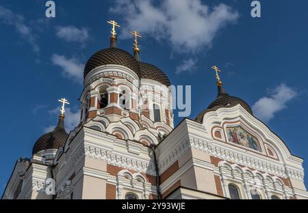 Vues de la cathédrale Alexandre Nevsky, site du patrimoine mondial de l'UNESCO, Tallinn, Estonie, Europe Banque D'Images