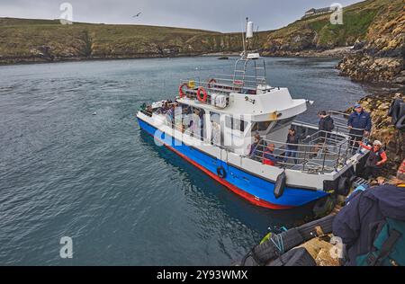 Le ferry Skomer se prépare à prendre des passagers sur l'île de Skomer, au large de la côte du Pembrokeshire, pays de Galles, Royaume-Uni, Europe Banque D'Images