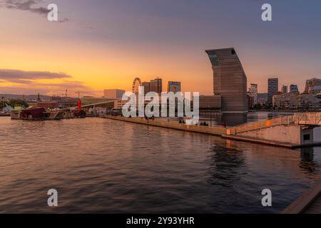 Vue du musée Munch et de la ville au coucher du soleil, Oslo, Norvège, Scandinavie, Europe Banque D'Images