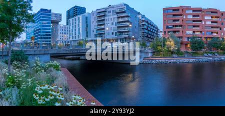 Vue des bâtiments de code-barres et des fleurs au crépuscule, Oslo, Norvège, Scandinavie, Europe Banque D'Images