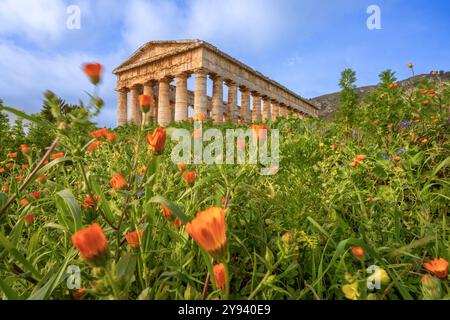 Temple dorique, Segesta, Calatafimi, Trapani, Sicile, Italie, Méditerranée, Europe Banque D'Images