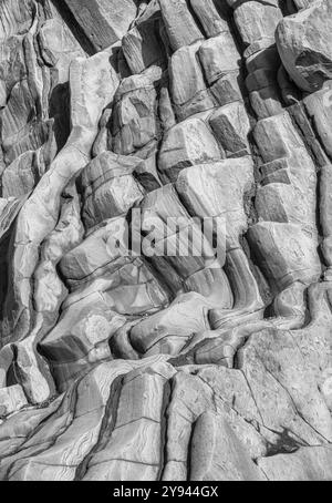 Cette image en noir et blanc haute résolution capture les textures complexes et les formes spectaculaires formées par les formations rocheuses naturelles de grès le detaile Banque D'Images